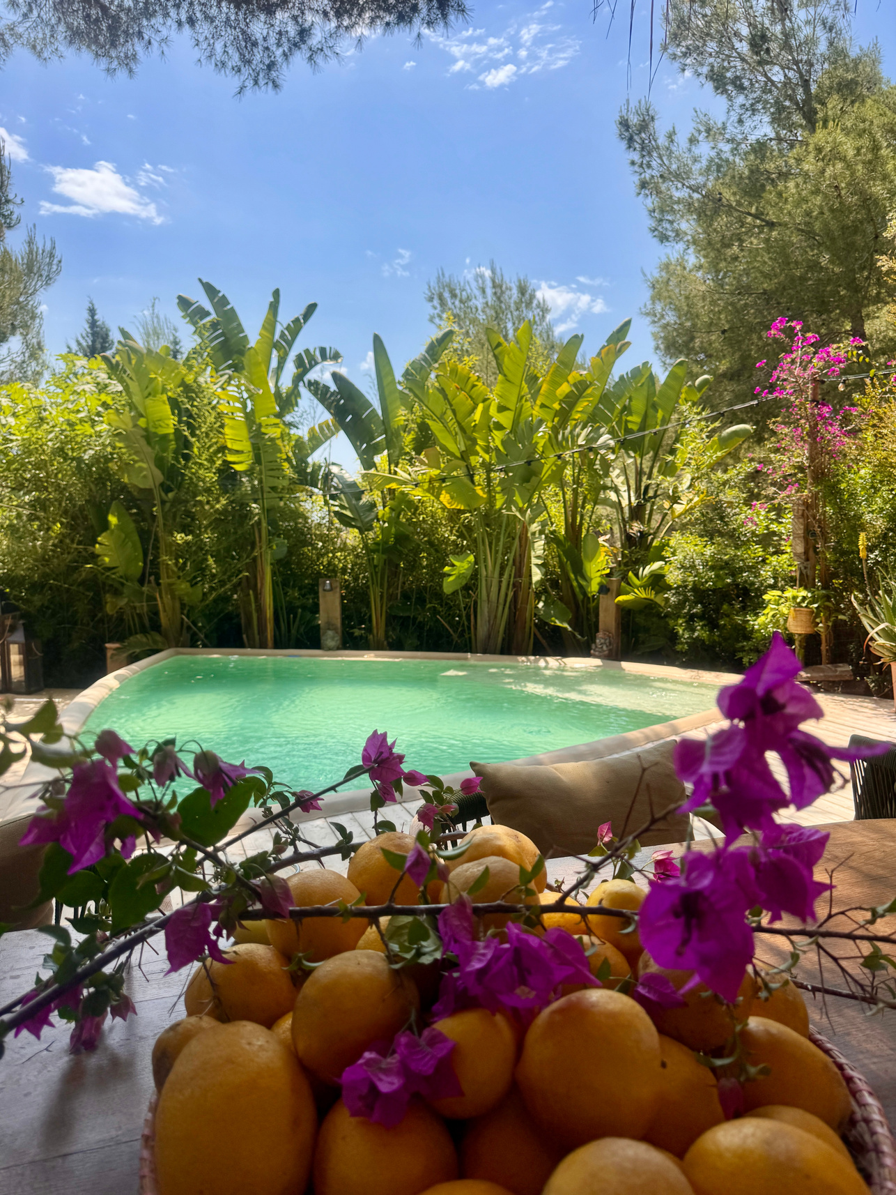 Casa La Bohème — piscine entourée de pins et de bougainvilliers au cœur de la forêt méditerranéenne d'Ibiza
